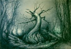 Mauro Borrelli - Box of shadows
